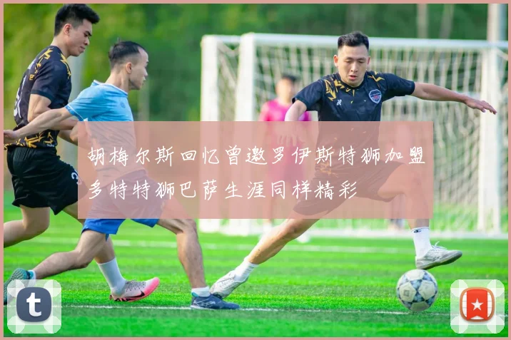 胡梅尔斯回忆曾邀罗伊斯特狮加盟多特特狮巴萨生涯同样精彩
